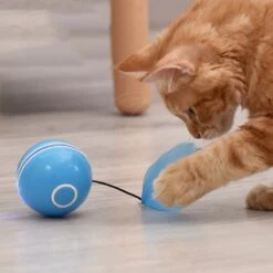 Otiume Elektrische Speelbal - Slimme Interactieve Zelfrollende Bal - Speelgoed Voor Katten - Kattenspeelgoed - Blauw 14 Otiume Elektrische Speelbal - Slimme Interactieve Zelfrollende Bal - Speelgoed Voor Katten - Kattenspeelgoed - Blauw -Huisdier Verkoop 1200x1200 2572