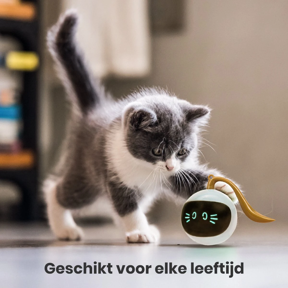 Otiume Slimme Katten Speeltje - Interactieve Zelf Rollende Bal Voor Katten - Kattenspeeltjes -Speelgoed Voor Dieren - USB Oplaadbaar 4 Otiume Slimme Katten Speeltje - Interactieve Zelf Rollende Bal Voor Katten - Kattenspeeltjes -Speelgoed Voor Dieren - USB Oplaadbaar - Afbeelding 2