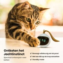 Otiume Slimme Katten Speeltje - Interactieve Zelf Rollende Bal Voor Katten - Kattenspeeltjes -Speelgoed Voor Dieren - USB Oplaadbaar 13 Otiume Slimme Katten Speeltje - Interactieve Zelf Rollende Bal Voor Katten - Kattenspeeltjes -Speelgoed Voor Dieren - USB Oplaadbaar -Huisdier Verkoop 1200x1200 2574