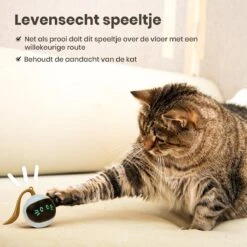 Otiume Slimme Katten Speeltje - Interactieve Zelf Rollende Bal Voor Katten - Kattenspeeltjes -Speelgoed Voor Dieren - USB Oplaadbaar 14 Otiume Slimme Katten Speeltje - Interactieve Zelf Rollende Bal Voor Katten - Kattenspeeltjes -Speelgoed Voor Dieren - USB Oplaadbaar -Huisdier Verkoop 1200x1200 2575