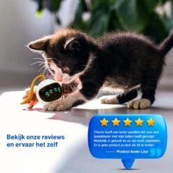 Otiume Slimme Katten Speeltje - Interactieve Zelf Rollende Bal Voor Katten - Kattenspeeltjes -Speelgoed Voor Dieren - USB Oplaadbaar 16 Otiume Slimme Katten Speeltje - Interactieve Zelf Rollende Bal Voor Katten - Kattenspeeltjes -Speelgoed Voor Dieren - USB Oplaadbaar -Huisdier Verkoop 1200x1200 2577