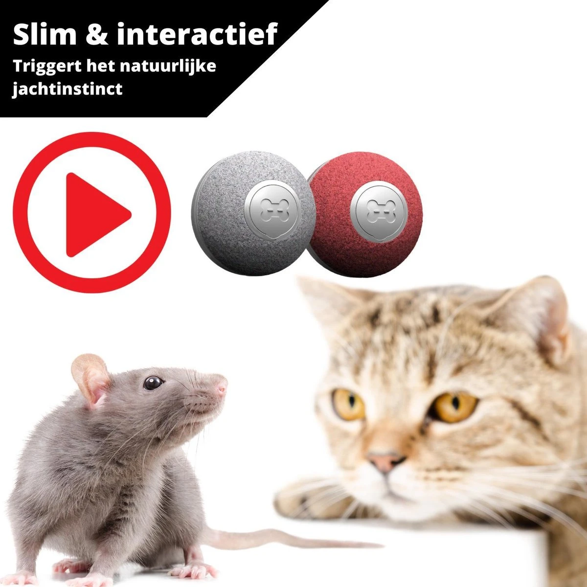 Cheerble Mini Ball 2.0 - Slimme Interactieve Zelf Rollende Bal Voor Katten - 3 Speelmodi - Kattenspeeltjes - USB Oplaadbaar - Rood 8 Cheerble Mini Ball 2.0 - Slimme Interactieve Zelf Rollende Bal Voor Katten - 3 Speelmodi - Kattenspeeltjes - USB Oplaadbaar - Rood - Afbeelding 6
