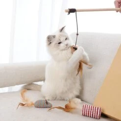 GIZMO Luxe Kattenspeeltjes Set - 7 Speeltjes - Interactieve Kattenhengel, Kattenspeelgoed & Speelmuisjes - Kitten Speeltjes 21 GIZMO Luxe Kattenspeeltjes Set - 7 Speeltjes - Interactieve Kattenhengel, Kattenspeelgoed & Speelmuisjes - Kitten Speeltjes -Huisdier Verkoop 1200x1200 2599