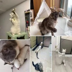 Kattenspeelgoed - Simulatie Vogel - Interactieve Grappige Kattenspeeltjes - Kattenhengel Met Zuignap + 4 Vogels + Een Kattenhengel GRATIS 20 Kattenspeelgoed - Simulatie Vogel - Interactieve Grappige Kattenspeeltjes - Kattenhengel Met Zuignap + 4 Vogels + Een Kattenhengel GRATIS -Huisdier Verkoop 1200x1200 2602