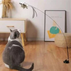 Kattenspeelgoed - Simulatie Vogel - Interactieve Grappige Kattenspeeltjes - Kattenhengel Met Zuignap + 4 Vogels + Een Kattenhengel GRATIS 23 Kattenspeelgoed - Simulatie Vogel - Interactieve Grappige Kattenspeeltjes - Kattenhengel Met Zuignap + 4 Vogels + Een Kattenhengel GRATIS -Huisdier Verkoop 1200x1200 2604