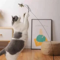 Kattenspeelgoed - Simulatie Vogel - Interactieve Grappige Kattenspeeltjes - Kattenhengel Met Zuignap + 4 Vogels + Een Kattenhengel GRATIS 24 Kattenspeelgoed - Simulatie Vogel - Interactieve Grappige Kattenspeeltjes - Kattenhengel Met Zuignap + 4 Vogels + Een Kattenhengel GRATIS -Huisdier Verkoop 1200x1200 2605