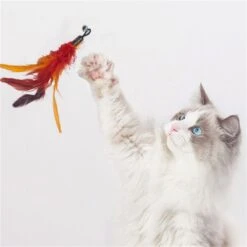 Merkloos Kattenhengel Met 10 Opzetstukjes - Kat Speelhengel Met Veren - Speelgoed Hengel Voor Katten – Kittenspeeltjes Met Veer – Kattenspeelgoed – Katten Speeltjes -Huisdier Verkoop 1200x1200 2613