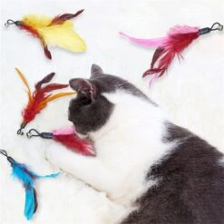 Merkloos Kattenhengel Met 10 Opzetstukjes - Kat Speelhengel Met Veren - Speelgoed Hengel Voor Katten – Kittenspeeltjes Met Veer – Kattenspeelgoed – Katten Speeltjes -Huisdier Verkoop 1200x1200 2614
