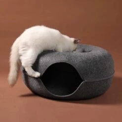 Merkloos A.K.A. Kattentunnel En Kattenmand In-1 – Kattenspeelgoed Speeltunnel Kattenhuis – Kattenhol Rond Kattenspeeltjes - Cat Cave Donut - Antraciet Vilt 16 Merkloos A.K.A. Kattentunnel En Kattenmand In-1 – Kattenspeelgoed Speeltunnel Kattenhuis – Kattenhol Rond Kattenspeeltjes - Cat Cave Donut - Antraciet Vilt -Huisdier Verkoop 1200x1200 2626