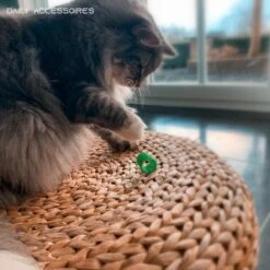 Kattenveertjes - Set 4 Stuks - Kattenspeeltjes - Kattenspeelgoed - Springveertje - Kittenspeeltjes - Kittenveertjes -Huisdier Verkoop 1200x1200 2640