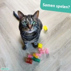 Moowi - Springveren 30 Stuks - Kat - Kattenveertjes - Kattenspeelgoed -Huisdier Verkoop 1200x1200 2652
