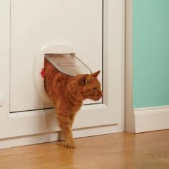 Petsafe 200 Kattenluik - Wit - L - 29,4 X 29,5 X 5 Cm -Huisdier Verkoop 1200x1200 2688