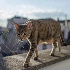 Kattennet Premium - 600 X 300 CM - Kattennet Voor Balkon - Transparant - Balkon Net - Makkelijk Te Monteren 14 Kattennet Premium - 600 X 300 CM - Kattennet Voor Balkon - Transparant - Balkon Net - Makkelijk Te Monteren -Huisdier Verkoop 1200x1200 2743