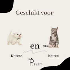 Petsify - Kattenhalsband Met Belletje - Veiligheidssluiting - Reflecterend - Halsband Kat - Halsband Kitten - Set Van 11 -Huisdier Verkoop 1200x1200 2852
