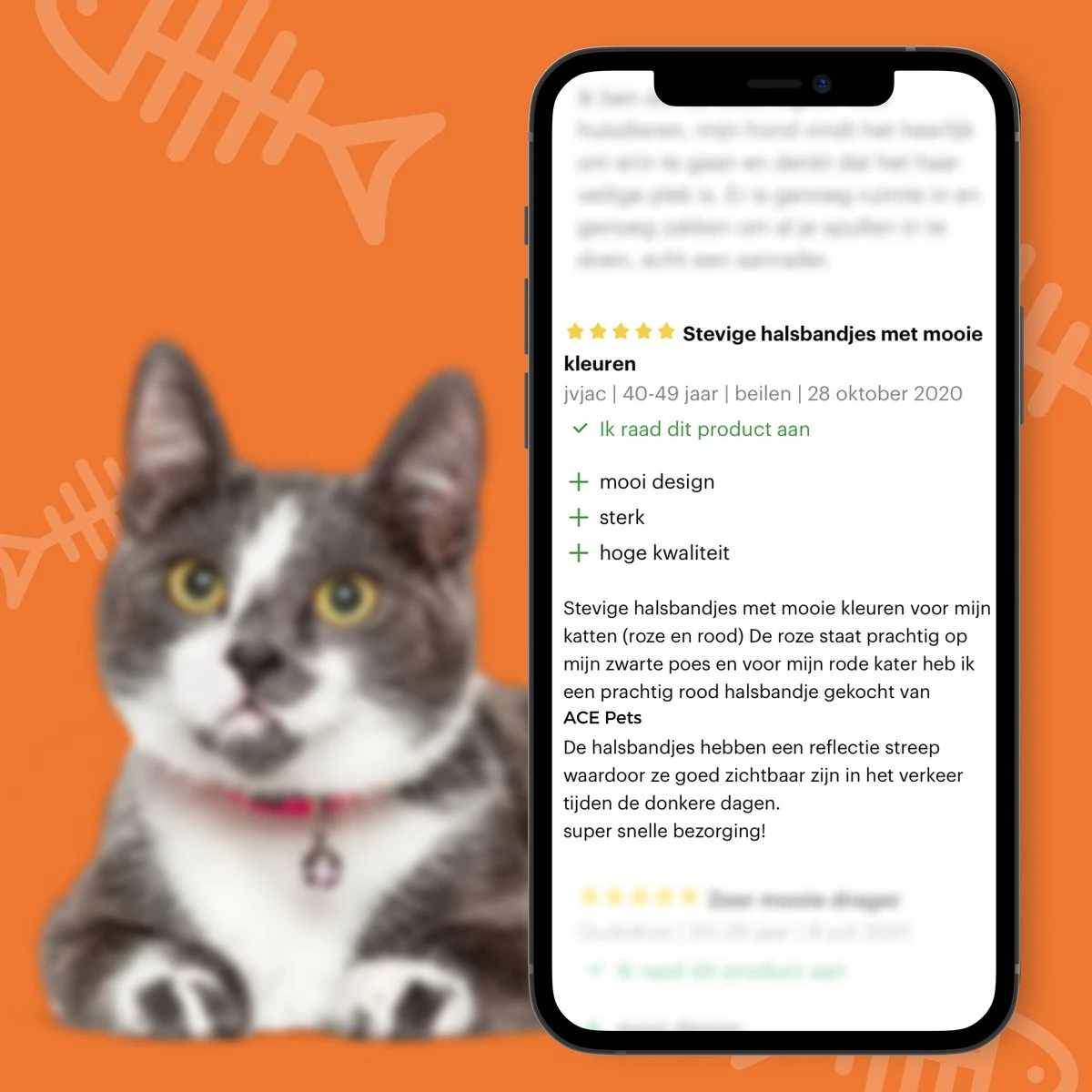 ACE Pets Reflecterende Kattenhalsband Met Veiligheidssluiting – Halsband Kat & Kitten - Met Adreskoker - Kittenhalsband & Kattenbandje Met Belletje - Zwart 11 ACE Pets Reflecterende Kattenhalsband Met Veiligheidssluiting – Halsband Kat & Kitten - Met Adreskoker - Kittenhalsband & Kattenbandje Met Belletje - Zwart - Afbeelding 9