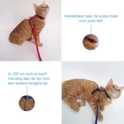 Kattentuigje Met Looplijn Kattenharnas Kittentuigje Kattenriem Met Looplijn Kat Kitten Tuigje Verstelbaar - Roze -Huisdier Verkoop 1200x1200 2878