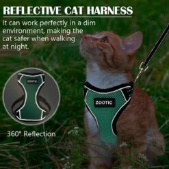 Kattentuigje Met Leiband Riem Kattenharnas Groen Maat L Kat & Kitten - Dieren Kattenriem - Cat Leash - Halsomvang 24 Tot 33cm - Borstomvang 36 Tot 41cm - Zootic® 15 Kattentuigje Met Leiband Riem Kattenharnas Groen Maat L Kat & Kitten - Dieren Kattenriem - Cat Leash - Halsomvang 24 Tot 33cm - Borstomvang 36 Tot 41cm - Zootic® -Huisdier Verkoop 1200x1200 2887
