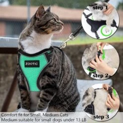 Kattentuigje Met Leiband Riem Kattenharnas Groen Maat L Kat & Kitten - Dieren Kattenriem - Cat Leash - Halsomvang 24 Tot 33cm - Borstomvang 36 Tot 41cm - Zootic® 16 Kattentuigje Met Leiband Riem Kattenharnas Groen Maat L Kat & Kitten - Dieren Kattenriem - Cat Leash - Halsomvang 24 Tot 33cm - Borstomvang 36 Tot 41cm - Zootic® -Huisdier Verkoop 1200x1200 2888