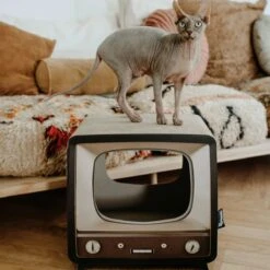 District 70 TELLY - Retro TV Krabmeubel - Instagrammable Kartonnen TV Voor Katten - 39 X 27 X 37 Cm 17 District 70 TELLY - Retro TV Krabmeubel - Instagrammable Kartonnen TV Voor Katten - 39 X 27 X 37 Cm -Huisdier Verkoop 1200x1200 2958