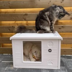 RHRQuality Kattenhuis Voor Binnen En Buiten Kattenhok Villa De Luxe Wit 60cm -Huisdier Verkoop 1200x1200 3009