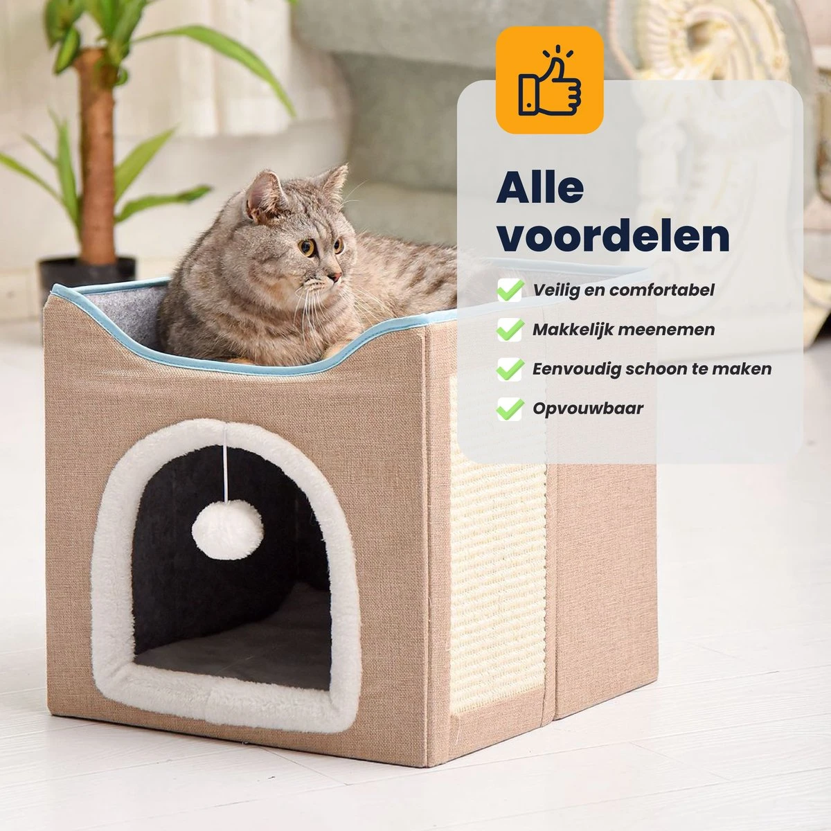 MIRO Katten Huis - Kattenhuizen - Kattenhok - Kattenmand - Dierenhuis - Opvouwbaar - Met Krabmat - Abrikoos 5 MIRO Katten Huis - Kattenhuizen - Kattenhok - Kattenmand - Dierenhuis - Opvouwbaar - Met Krabmat - Abrikoos - Afbeelding 3