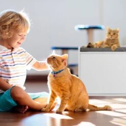 Relaxdays Kattenbak Ombouw - Met Zitkussen - Kattenhuis Wit - Kattenmeubel - Kattenkast -Huisdier Verkoop 1200x1200 3014