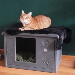 RHRQuality Kattenhuis Voor Binnen En Buiten Kattenhok Villa De Luxe Grijs 23 RHRQuality Kattenhuis Voor Binnen En Buiten Kattenhok Villa De Luxe Grijs -Huisdier Verkoop 1200x1200 3027