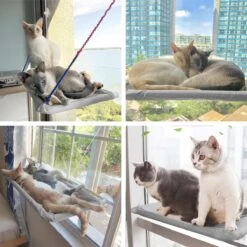 Merkloos Kattenhangmat - Kattenbed - Hangmat Kat Raam Ook Voor Radiator En Deur - Kattenmand Raam En Radiator - Katten Hangmat - Radiatorhangmat Kat Kattenstoel - Tijdelijk Met Extra Hangmat Hoes 21 Merkloos Kattenhangmat - Kattenbed - Hangmat Kat Raam Ook Voor Radiator En Deur - Kattenmand Raam En Radiator - Katten Hangmat - Radiatorhangmat Kat Kattenstoel - Tijdelijk Met Extra Hangmat Hoes -Huisdier Verkoop 1200x1200 3054