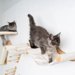 RHRQuality Wandmeubel Wandmontage Klimmuur Kat 53 X 43cm Luxe Hangmat XXL Creme Klim Wand Muur Krabpaal Katten Muurbevestiging -Huisdier Verkoop 1200x1200 3059