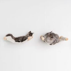 RHRQuality Wandmeubel Wandmontage Klimmuur Kat 53 X 43cm Luxe Hangmat XXL Creme Klim Wand Muur Krabpaal Katten Muurbevestiging -Huisdier Verkoop 1200x1200 3061