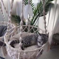 Bonbox Shop - Macrame Hangmat Voor Katten En Kittens - Kattenhammock - Hangmand -Huisdier Verkoop 1200x1200 3068