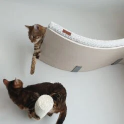 COSY AND DOZY Cat Shelf Deluxe WIT – Hangmat Kat – Maple Hout - 90 X 41 Cm - Kattenplank - Katten Muur 15 COSY AND DOZY Cat Shelf Deluxe WIT – Hangmat Kat – Maple Hout - 90 X 41 Cm - Kattenplank - Katten Muur -Huisdier Verkoop 1200x1200 3073