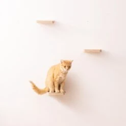 Navaris Katten Klimmuur 3 Tredes - 18 X 18 X 1,5 Cm Per Plankje - Katten Klimwand Van Hout - Inclusief Bevestigingsmateriaal 13 Navaris Katten Klimmuur 3 Tredes - 18 X 18 X 1,5 Cm Per Plankje - Katten Klimwand Van Hout - Inclusief Bevestigingsmateriaal -Huisdier Verkoop 1200x1200 3078