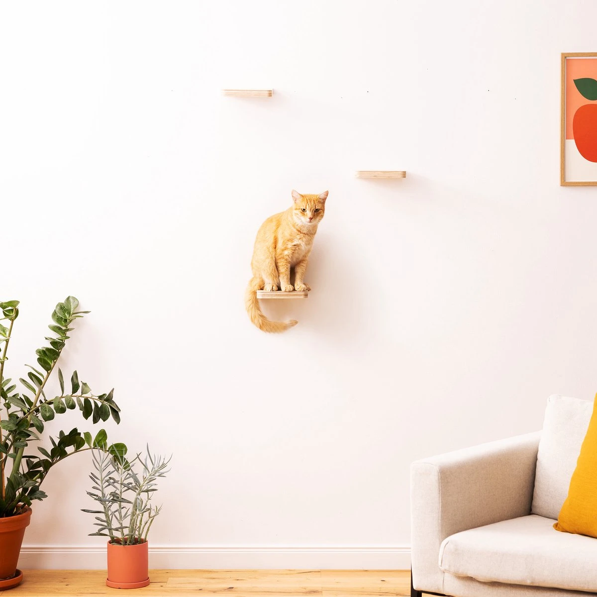 Navaris Katten Klimmuur 3 Tredes - 18 X 18 X 1,5 Cm Per Plankje - Katten Klimwand Van Hout - Inclusief Bevestigingsmateriaal 8 Navaris Katten Klimmuur 3 Tredes - 18 X 18 X 1,5 Cm Per Plankje - Katten Klimwand Van Hout - Inclusief Bevestigingsmateriaal - Afbeelding 6