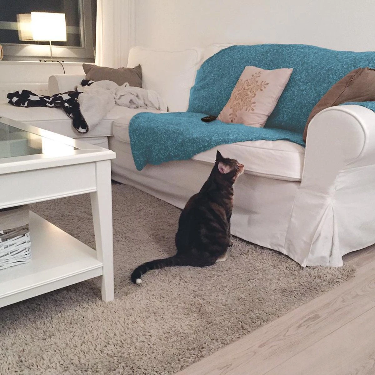 HG Tegen Urine Geur - 500 Ml - Effectief En Snel Resultaat - Neemt De Geur Definitief Weg 5 HG Tegen Urine Geur - 500 Ml - Effectief En Snel Resultaat - Neemt De Geur Definitief Weg - Afbeelding 3