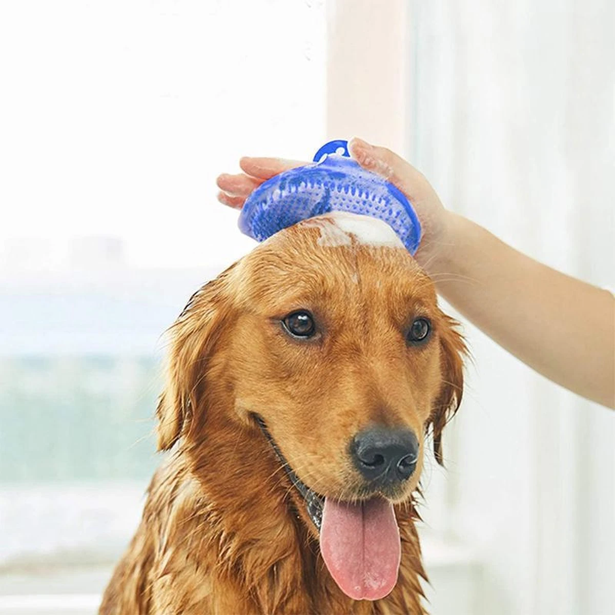 Kattenborstel - Hondenborstel - Vacht Verzorgingsborstel Hond En Kat - Siliconen Haarborstel - Flexibele Massage Borstel - Haar– En Klittenkam - Blauw 4 Kattenborstel - Hondenborstel - Vacht Verzorgingsborstel Hond En Kat - Siliconen Haarborstel - Flexibele Massage Borstel - Haar– En Klittenkam - Blauw - Afbeelding 2