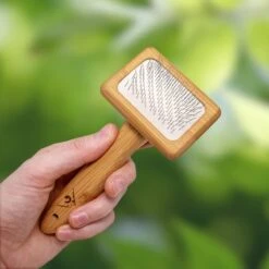 Pfotenolymp® Zachte Borstel Voor Katten - Kattenborstel / Kattenkam Van Bamboe - Bontborstel / Vachtborstel / Kattenhaarborstel - Bontkam Voor Vachtverzorging 13 Pfotenolymp® Zachte Borstel Voor Katten - Kattenborstel / Kattenkam Van Bamboe - Bontborstel / Vachtborstel / Kattenhaarborstel - Bontkam Voor Vachtverzorging -Huisdier Verkoop 1200x1200 3100