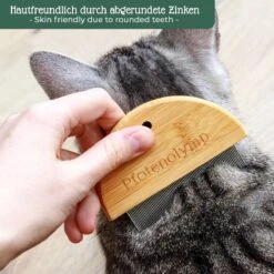 Pfotenolymp® Zachte Borstel & Vlooienkam Voor Katten Set - Kattenborstel I Kattenkam - Luizenkam I Netenkam Voor Katten - Tegen Luizen & Vlooien - Kattenhaarborstel -Huisdier Verkoop 1200x1200 3111