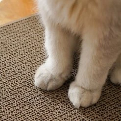 Verticale Muur Kat Krabplank Mini Size Slijtvaste Kat Krassen Schraper Voor Katten Training Slijpen Klauw Speelgoed -Huisdier Verkoop 1200x1200 3128