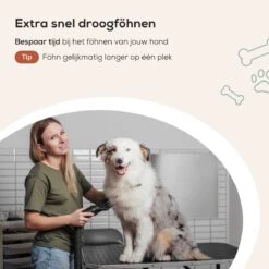 MiMOPETS® Hondenföhn Met 4 Opzetstukken – Waterblazer Voor Honden Met Geluiddemper -Hondendroger - Zwart 17 MiMOPETS® Hondenföhn Met 4 Opzetstukken – Waterblazer Voor Honden Met Geluiddemper -Hondendroger - Zwart -Huisdier Verkoop 1200x1200 337