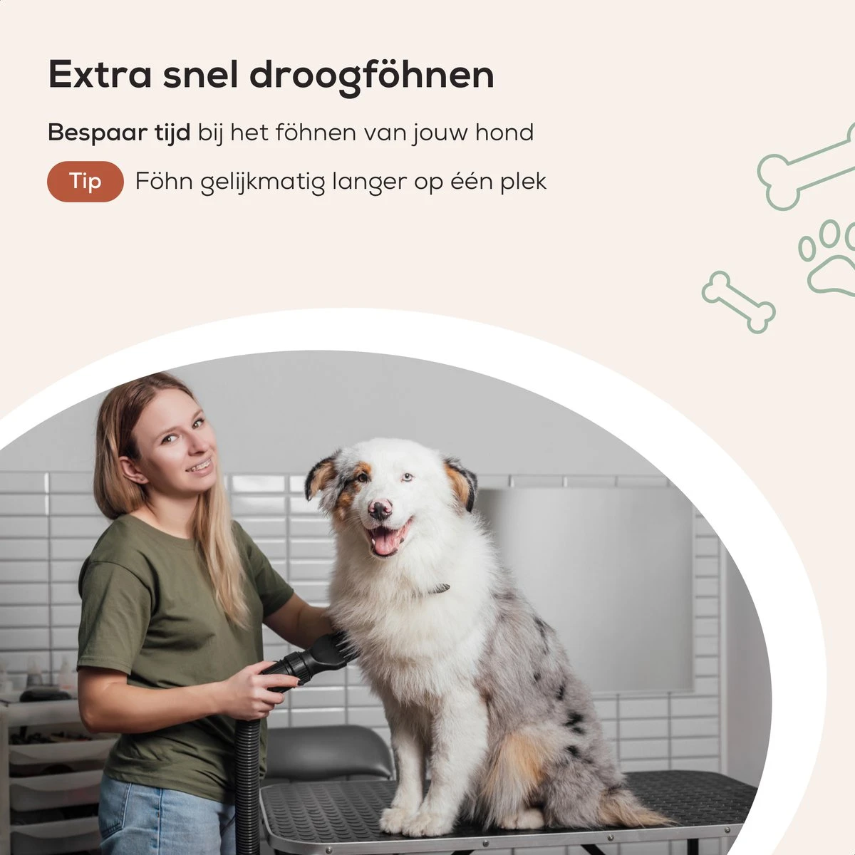 MiMOPETS® Hondenföhn Met 4 Opzetstukken – Waterblazer Voor Honden Met Geluiddemper -Hondendroger - Zwart 10 MiMOPETS® Hondenföhn Met 4 Opzetstukken – Waterblazer Voor Honden Met Geluiddemper -Hondendroger - Zwart - Afbeelding 8