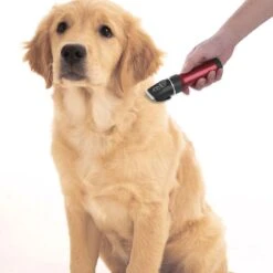 Merkloos Hondentondeuse, Hundeschermaschine / Dog Clippers - Dierenhaartrimmer, Hondentondeuse Kit Hond Verzorging -Huisdier Verkoop 1200x1200 353