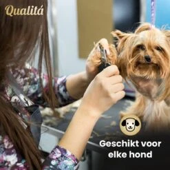 Merkloos Professionele Honden Tondeuse Set - Tondeuse Voor Huisdier Honden En Katten - Hondentrimmer - Hondentondeuse 14 Merkloos Professionele Honden Tondeuse Set - Tondeuse Voor Huisdier Honden En Katten - Hondentrimmer - Hondentondeuse -Huisdier Verkoop 1200x1200 369