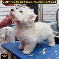 Toivo Schaar Voor Dieren - Zilver - Effileerscharen - Honden Scharenset - Dierenschaar - Set 5 Stuks - Trimscharen - Trimset - Uitdunschaar Hond - Schaar Honden -Huisdier Verkoop 1200x1200 378