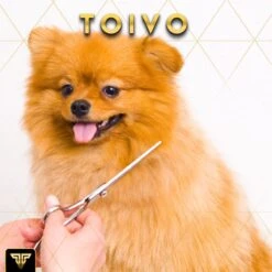 Toivo Schaar Voor Dieren - Zilver - Effileerscharen - Honden Scharenset - Dierenschaar - Set 5 Stuks - Trimscharen - Trimset - Uitdunschaar Hond - Schaar Honden -Huisdier Verkoop 1200x1200 382