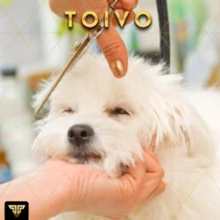 Toivo Schaar Voor Dieren - Zilver - Effileerscharen - Honden Scharenset - Dierenschaar - Set 5 Stuks - Trimscharen - Trimset - Uitdunschaar Hond - Schaar Honden -Huisdier Verkoop 1200x1200 383