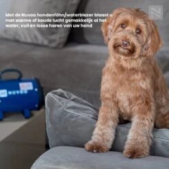 Nuvoo Professionele Hondenföhn / Waterblazer / Hondenborstel Met 3 Opzetstukken - Verstelbare Vermogen Tot 2200W - Warme / Koude Stand - Rood 19 Nuvoo Professionele Hondenföhn / Waterblazer / Hondenborstel Met 3 Opzetstukken - Verstelbare Vermogen Tot 2200W - Warme / Koude Stand - Rood -Huisdier Verkoop 1200x1200 400