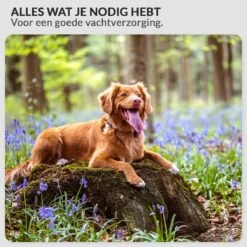 Krachtige Hondenföhn/ Waterblazer Met Draaiknop Om Overtollig Water En Stof Snel Uit De Vacht Te Blazen | Verstelbare Vermogen Standen (500W Tot 2200W) En Verstelbare Temperatuur - Type B Oranje -Huisdier Verkoop 1200x1200 403