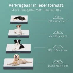 Nieuwkomers -Huisdier Verkoop 1200x1200 42