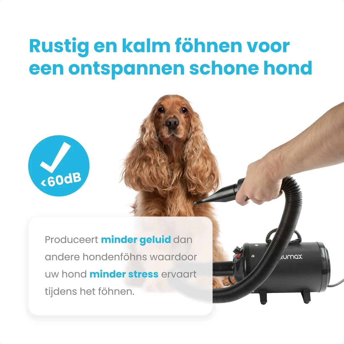 Qumax Professionele Hondenföhn Met 4 Opzetstukken – Waterblazer Voor Honden – Stil Design – Compact En Modern - Zwart 6 Qumax Professionele Hondenföhn Met 4 Opzetstukken – Waterblazer Voor Honden – Stil Design – Compact En Modern - Zwart - Afbeelding 4